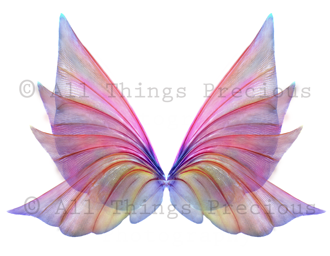 Digital Fairy Wings Overlays clipart. Png transparent see through files for photoshop. Butterfly Angel, Color, Print Photography editing. High resolution, 300dpi. Printable, Photography Graphic design assets, add on stock resources. Magical Scrapbooking design. Faery Photographer edit. Colorful Big Bundle. ATP Textures